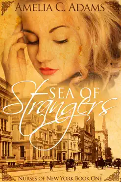 sea of strangers book cover image