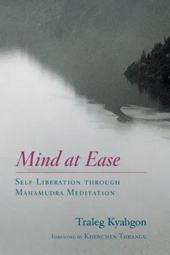 mind at ease book cover image