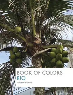 book of colors - rio book cover image