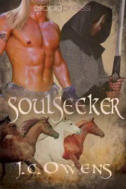 soulseeker book cover image