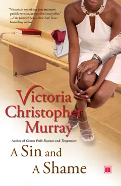 a sin and a shame book cover image