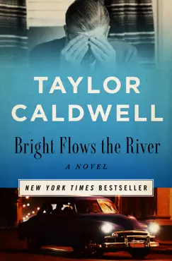 bright flows the river book cover image