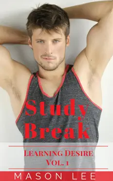 study break (learning desire - vol. 1) book cover image