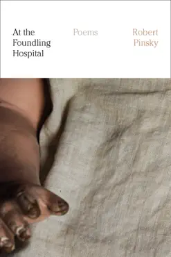 at the foundling hospital book cover image