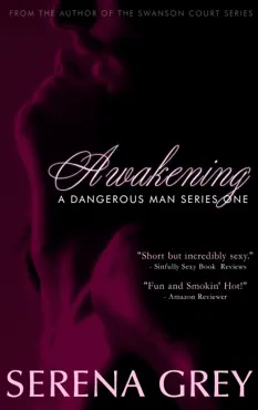 awakening book cover image