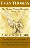 Broken Hearts Chronicles: Volume One - Angels of Hope sinopsis y comentarios