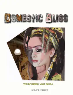 domestic bliss book cover image