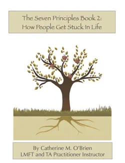 the seven principles: book 2 book cover image