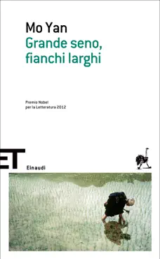 grande seno, fianchi larghi book cover image