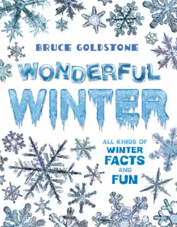 wonderful winter book cover image