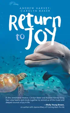 return to joy book cover image