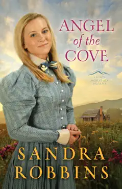angel of the cove book cover image