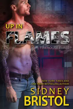 up in flames book cover image