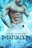 Infatuation synopsis, comments