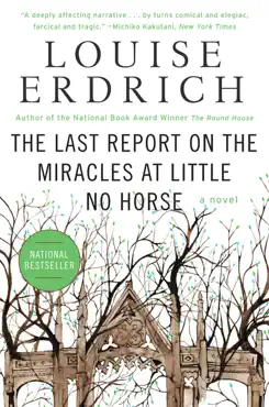 the last report on the miracles at little no horse book cover image
