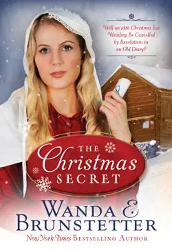 the christmas secret book cover image
