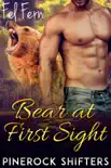 Bear at First Sight synopsis, comments