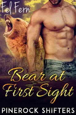 bear at first sight book cover image