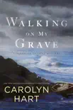 Walking on My Grave synopsis, comments