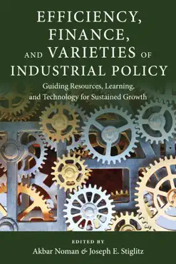 efficiency, finance, and varieties of industrial policy imagen de la portada del libro