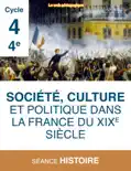 Société, culture et politique dans la France du XIXe siècle e-book