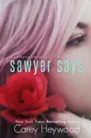 Sawyer Says synopsis, comments