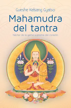 mahamudra del tantra book cover image