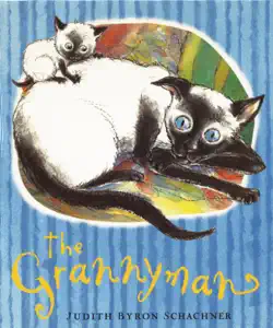 the grannyman book cover image