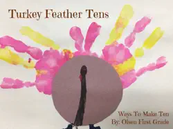 turkey feather tens book cover image