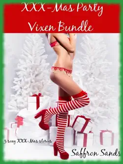 xxx-mas party vixen bundle book cover image
