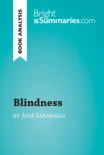 Blindness by José Saramago sinopsis y comentarios