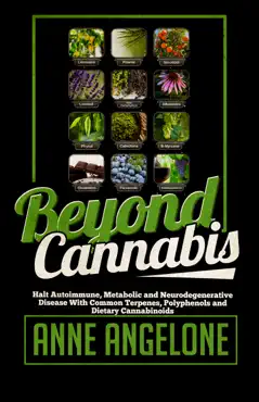 beyond cannabis book cover image