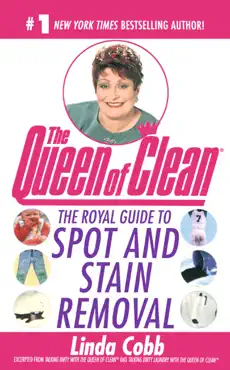 the royal guide to spot and stain removal book cover image