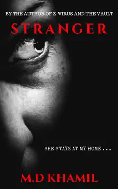 stranger (short psychological thriller) book cover image