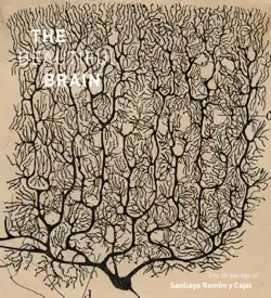 the beautiful brain book cover image