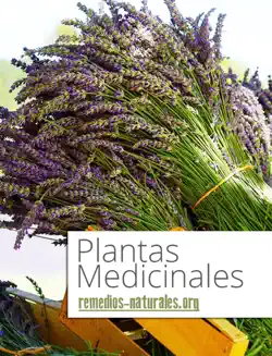 plantas medicinales book cover image