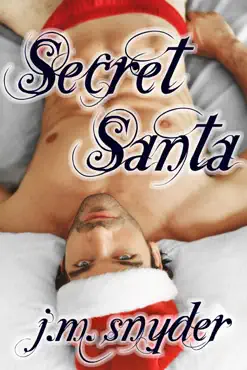 secret santa book cover image