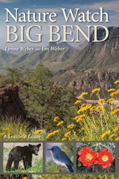 nature watch big bend book cover image