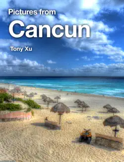 pictures from cancun book cover image