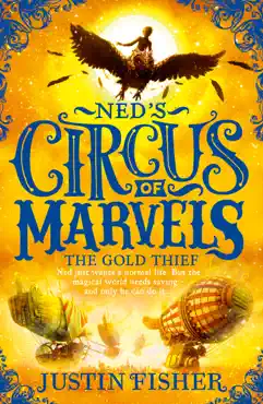 the gold thief book cover image