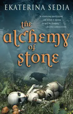 the alchemy of stone imagen de la portada del libro