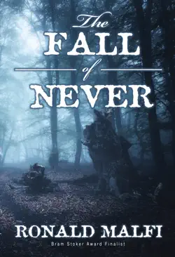 the fall of never book cover image
