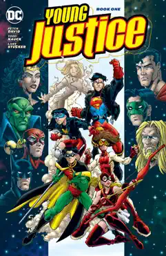 young justice book one book cover image