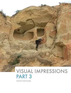 visual impressions - part 3 book cover image