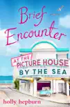 Brief Encounter at the Picture House by the Sea synopsis, comments