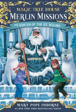winter of the ice wizard book cover image