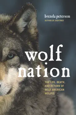 wolf nation book cover image