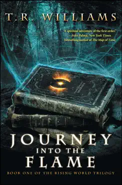 journey into the flame book cover image