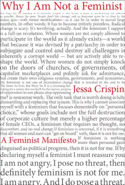 why i am not a feminist book cover image