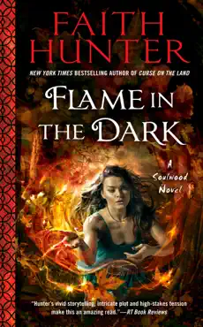 flame in the dark book cover image